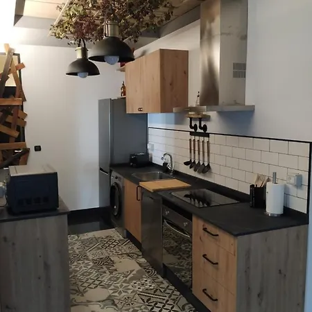 公寓 Loft Torres Centro 奥维耶多